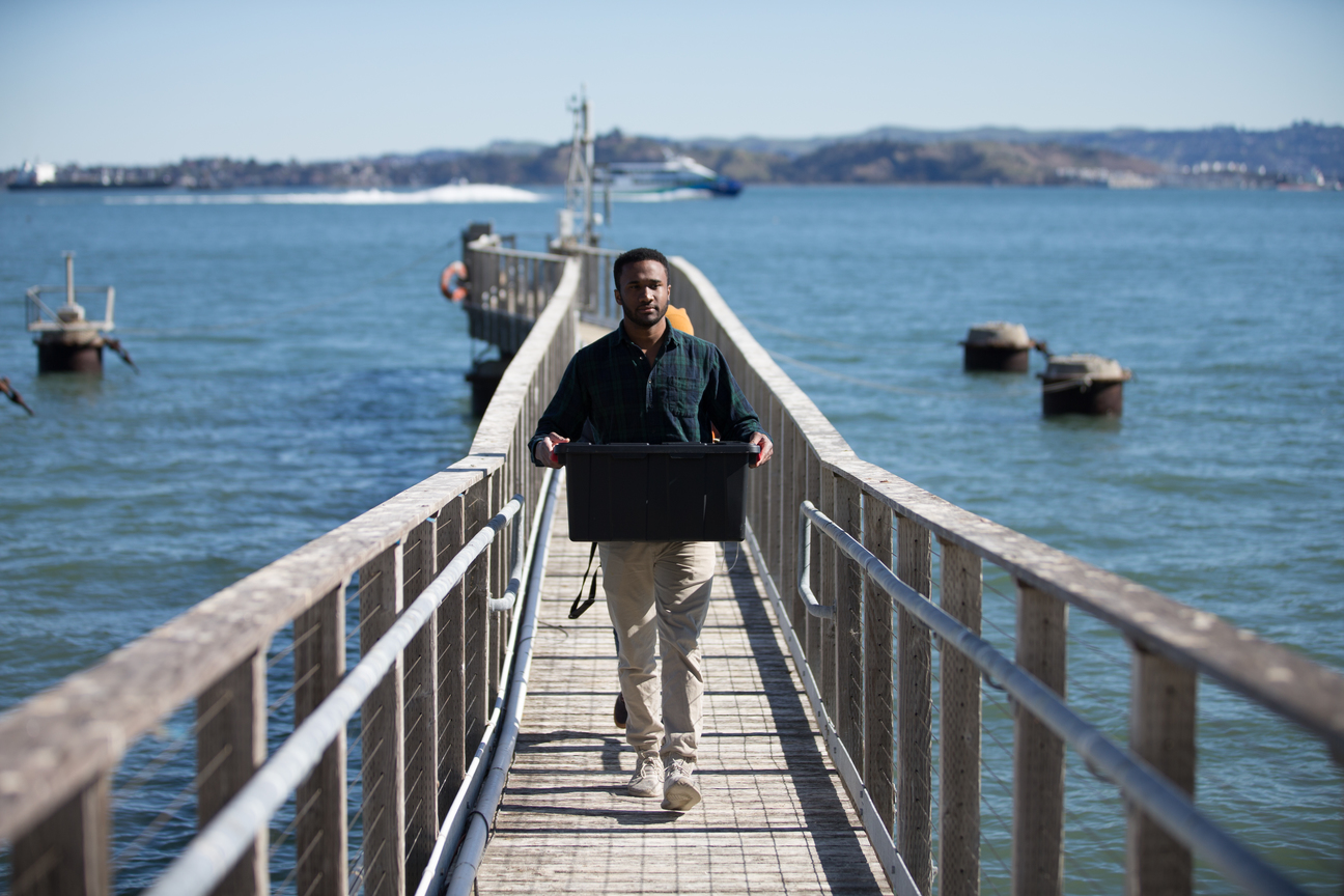 Graduate student collects samples from the finger pier