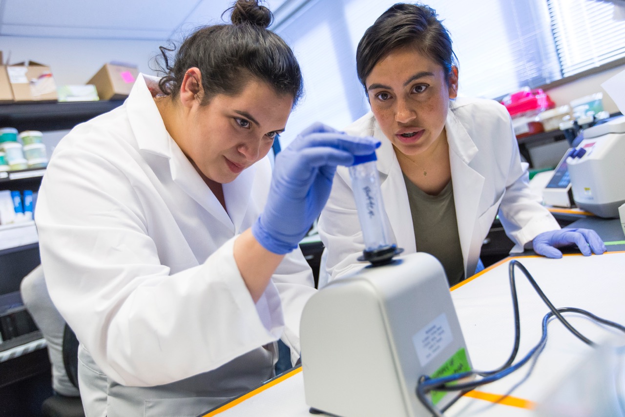 Two students in the lab