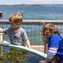 children explore eelgrass tank at EOS Center marine lab open house