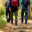 hikers wearing backpacks walk a path in the woods