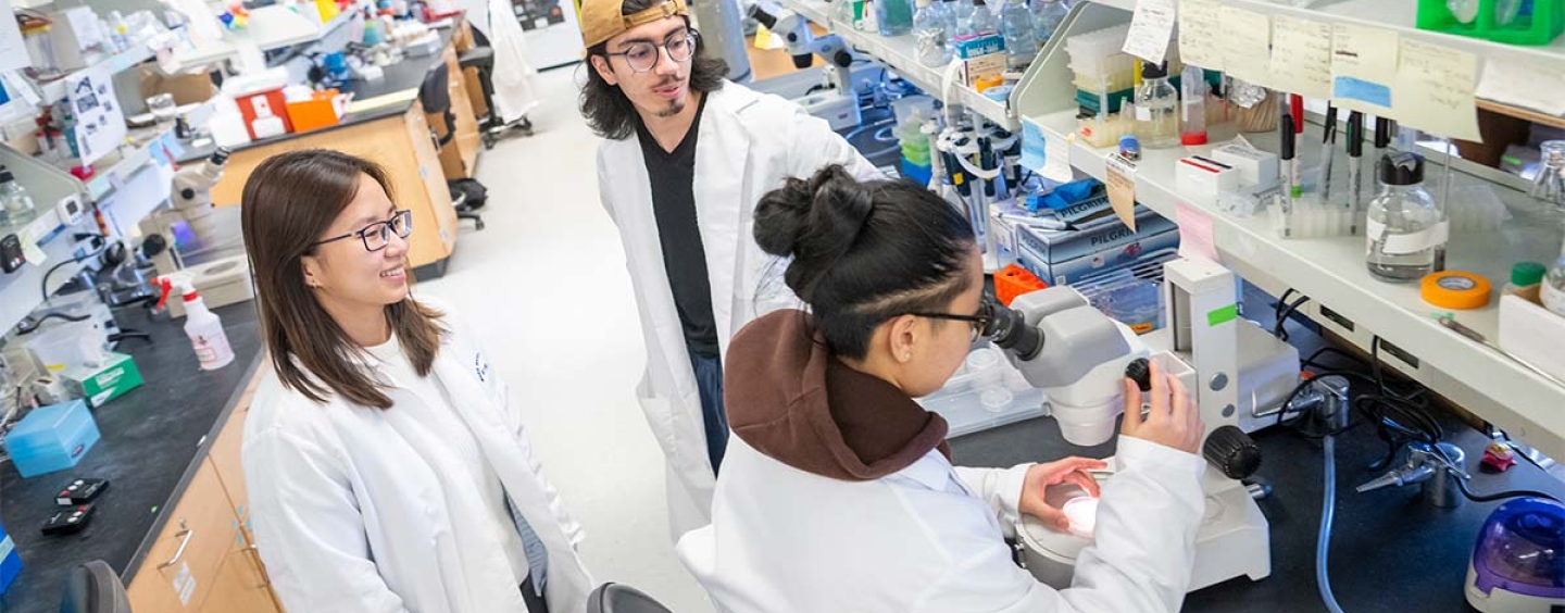 Two students talking to a third student sitting at a microscope