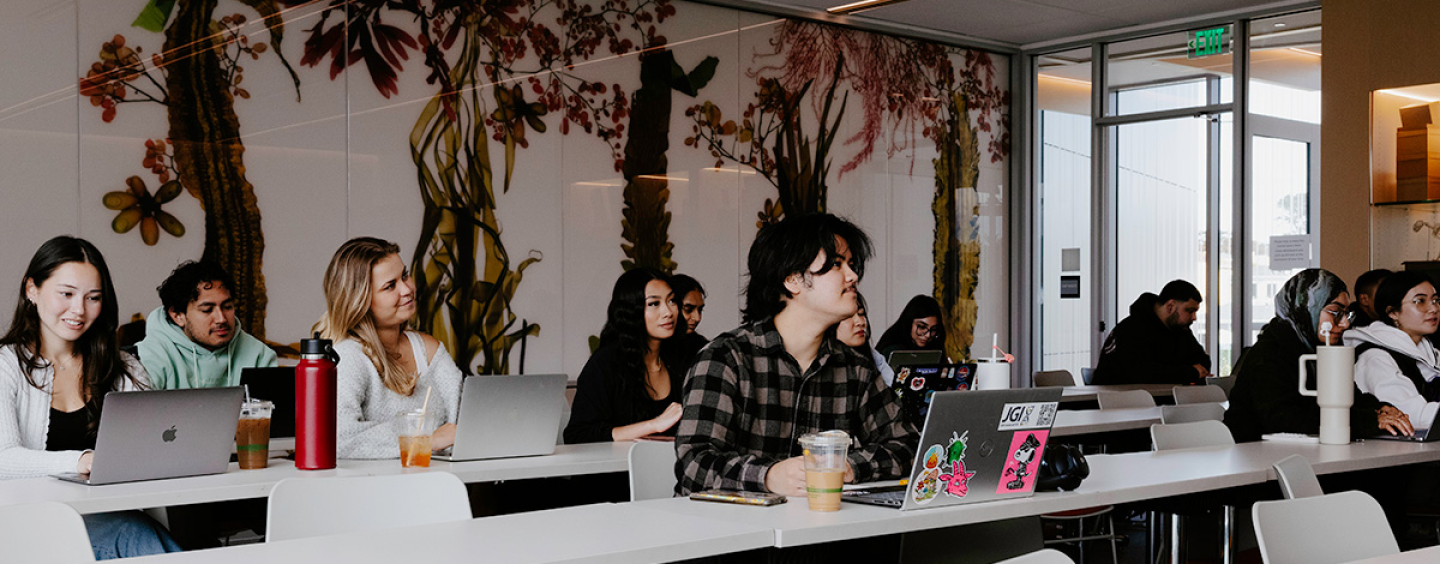 students with laptops sitting at desks