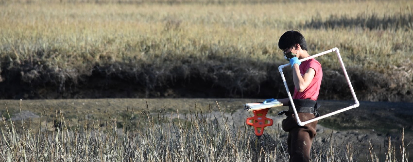 Graduate student Daniel Yim in wetland with survey equipment