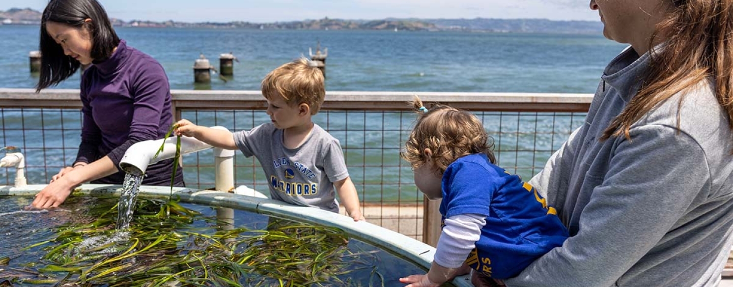 children explore eelgrass tank at EOS Center marine lab open house
