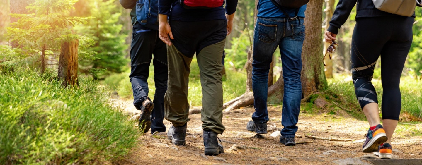 hikers wearing backpacks walk a path in the woods