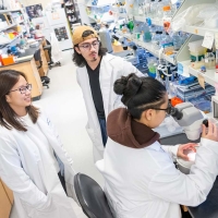 Two students talking to a third student sitting at a microscope
