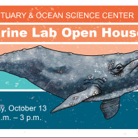 open house whale art