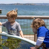 children explore eelgrass tank at EOS Center marine lab open house