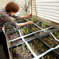 Student investigating plants