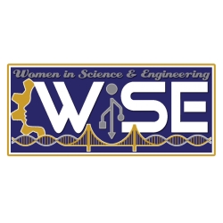 WISE logo on white background