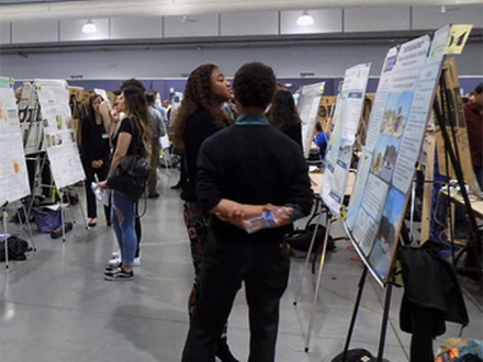 students look research posters on stands