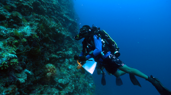 scuba diver with rebreather on reef